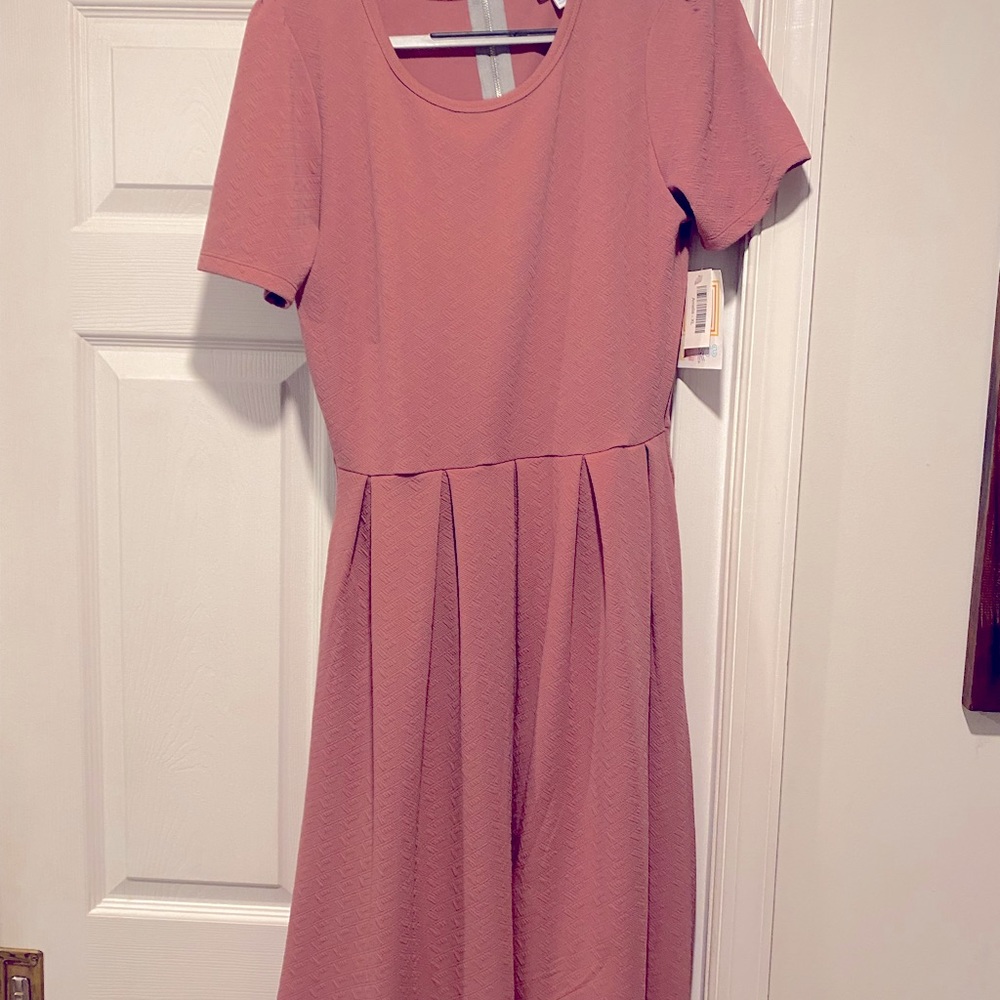 LuLaRoe new Amelia dress